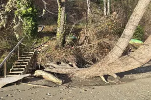 661 SE Somers Dr, Shelton, WA 98584 - Photo 38