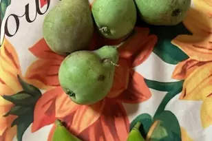 1568 SE Oregon St, Port Orchard, WA 98367 - Photo 14