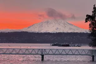 839 Fox Dr, Fox Island, WA 98333 - Photo 40