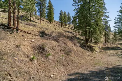 0 Granite Creek, Chelan, WA 98816 - Photo 20