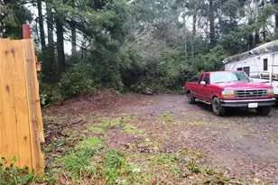 1543 Dicks Ln, Westport, WA 98595 - Photo 1