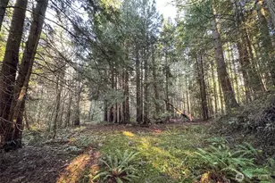 186 Rebel Ln, Port Angeles, WA 98362 - Photo 40