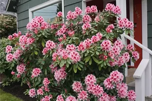 5145 S Myrtle St, Seattle, WA 98118 - Photo 28