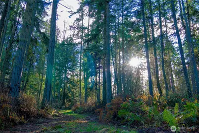 0 Nka Atterberry Road, Sequim, WA 98382 - Photo 2