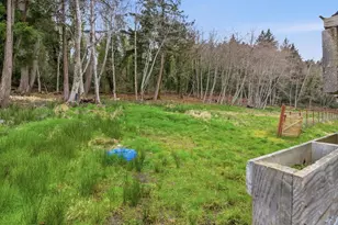 16602 - 16608 Delano Rd, Lakebay, WA 98349 - Photo 28