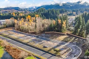 1624 Lockridge Loop E, Enumclaw, WA 98022 - Photo 40