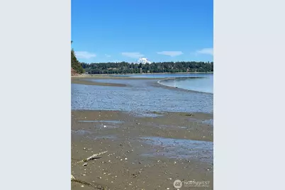 361 SE Totten Shores Drive, Shelton, WA 98584 - Photo 6