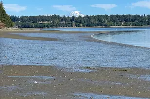 361 SE Totten Shores Dr, Shelton, WA 98584 - Photo 6