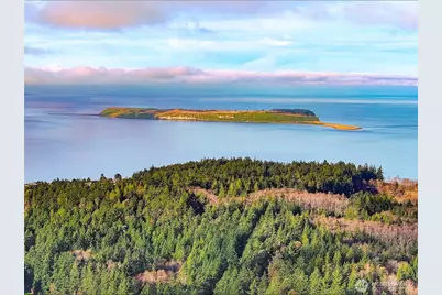 9999 Protection Ridge Road, Port Townsend, WA 98368 - Photo 4