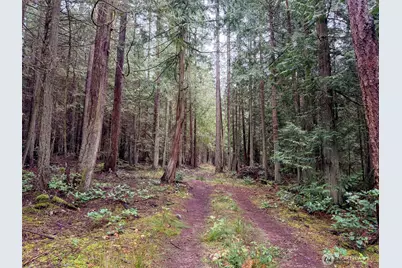 9999 Protection Ridge Road, Port Townsend, WA 98368 - Photo 10
