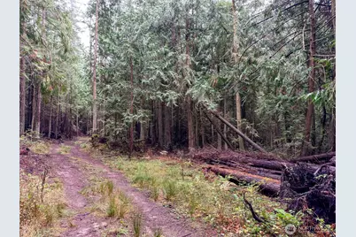 9999 Protection Ridge Road, Port Townsend, WA 98368 - Photo 14