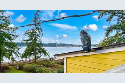 534 Sundin Drive, Camano Island, WA 98282 - Photo 8