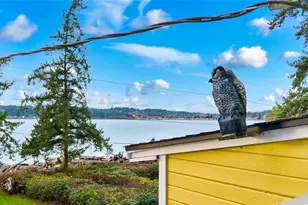 534 Sundin Dr, Camano Island, WA 98282 - Photo 8
