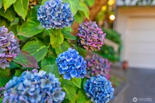 1928 Dumas Cir NE, Tacoma, WA 98422 - Photo 36