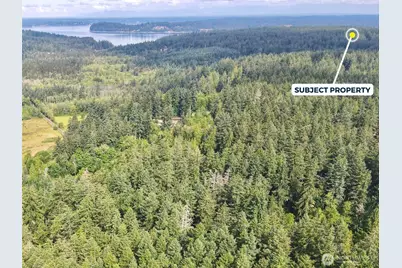 12918 E 101st Street Ct, Anderson Island, WA 98303 - Photo 8