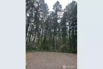 12918 E 101st Street Ct, Anderson Island, WA 98303 - Photo 12
