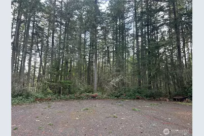 12918 E 101st Street Ct, Anderson Island, WA 98303 - Photo 1