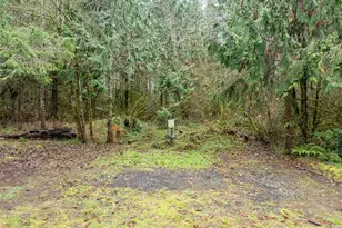 143 Berry Rd, Chehalis, WA 98532 - Photo 10