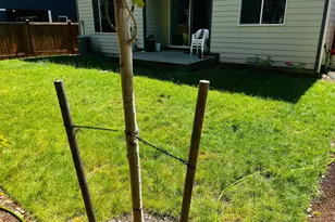 12003 9th Pl SE, Lake Stevens, WA 98258 - Photo 28