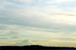 2040 43rd Ave E, Seattle, WA 98112 - Photo 12