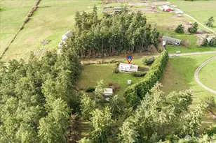 651 Long Ears Way, Coupeville, WA 98239 - Photo 38