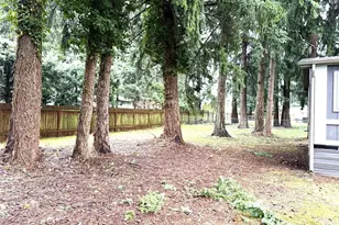 8215 192nd St Ct E, Spanaway, WA 98387 - Photo 20