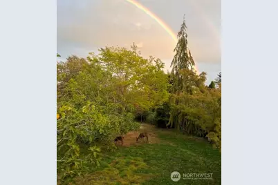 3216 Bennett Drive, Bellingham, WA 98225 - Photo 40