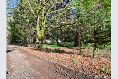 11846 Lewis River Road, Ariel, WA 98603 - Photo 4