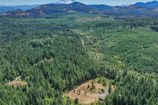 19002 Sorenson Rd SE, Yelm, WA 98597 - Photo 10