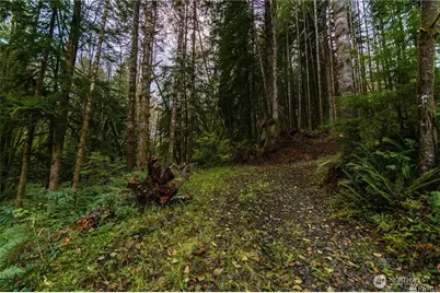 1 Lot Bison Run, Longview, WA 98632 - Photo 6