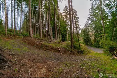 1 Lot Bison Run, Longview, WA 98632 - Photo 2