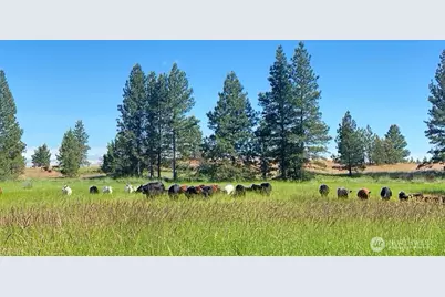37227 S Long Road, Cheney, WA 99004 - Photo 34