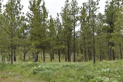 37227 S Long Road, Cheney, WA 99004 - Photo 24