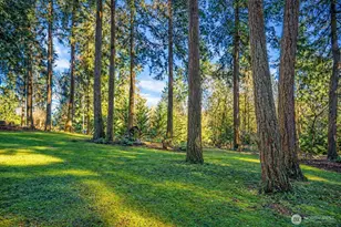 24610 110th Ave E, Graham, WA 98338 - Photo 38