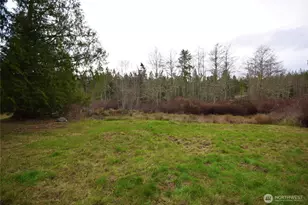 323 Critter Country Trail, Sequim, WA 98382 - Photo 34