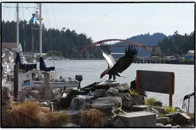 106 Chinook Place, La Conner, WA 98257 - Photo 32