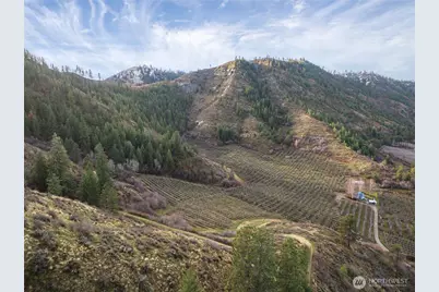 0 Tigner Road, Cashmere, WA 98815 - Photo 6