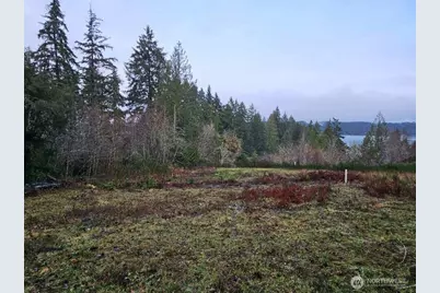 211 E Linda Vista Court, Union, WA 98592 - Photo 10