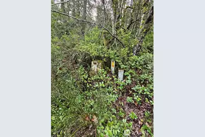 211 E Linda Vista Court, Union, WA 98592 - Photo 8