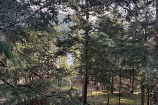 1193 Rosario Rd, Orcas Island, WA 98245 - Photo 20