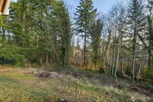 15057 Stevens Rd SE, Olalla, WA 98359 - Photo 40