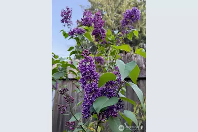 1301 NW 40th Street, Vancouver, WA 98660 - Photo 30