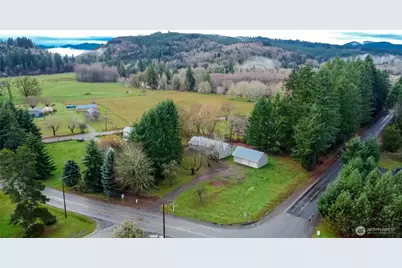 175 Stevens Road, Doty, WA 98532 - Photo 2