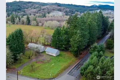 175 Stevens Road, Doty, WA 98532 - Photo 1