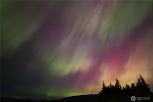 722 Panorama Ridge, Mount Vernon, WA 98273 - Photo 40