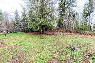 51 E Skyline Dr, Shelton, WA 98584 - Photo 14