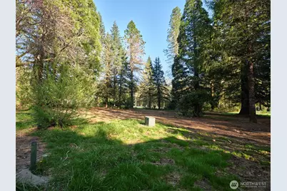 11846 Lewis River Road, Ariel, WA 98603 - Photo 2