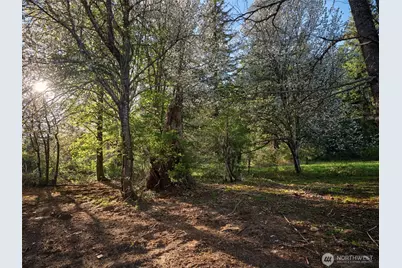 11846 Lewis River Road, Ariel, WA 98603 - Photo 18