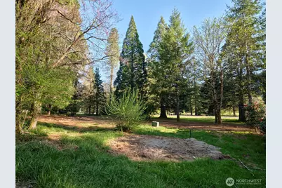 11846 Lewis River Road, Ariel, WA 98603 - Photo 16