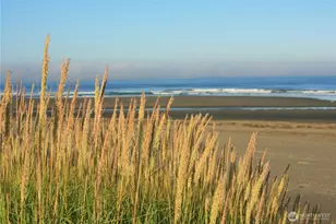 1409 S Cohasset Crest, Westport, WA 98595 - Photo 36